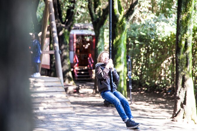 Skip the Line Collodi-Pinocchio Polycentric Park Ticket - Inclusions and Services Provided