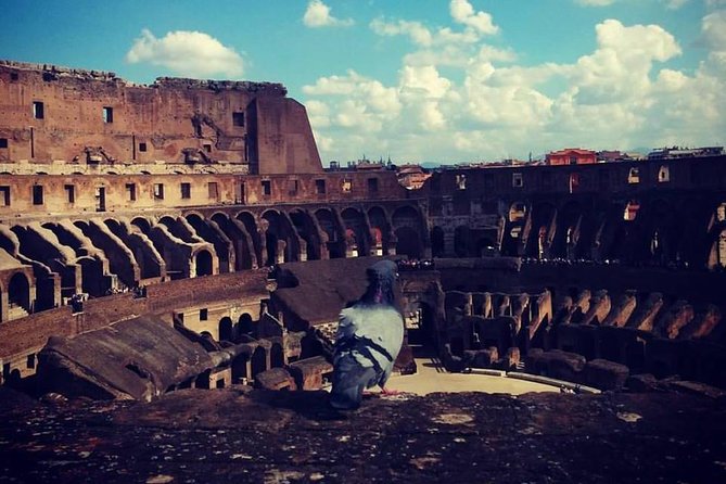 Skip the Line: Colosseum, Palatine Hill, and Roman Forum Private Tour - Logistics