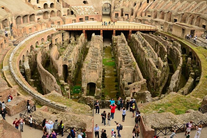 Skip the Line Colosseum, Roman Forum and Palatine Hill Guided Tour - Common Questions