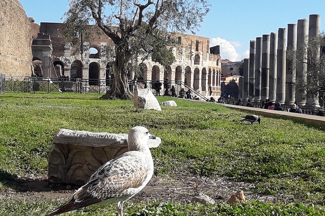 Skip-the-line Colosseum, Roman Forum, Palatine - Exclusive Private Tour - Inclusions and Benefits