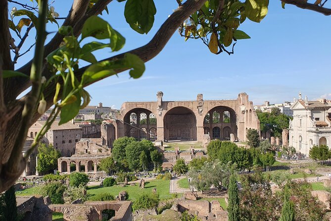 Skip the Line: Colosseum, Roman Forum & Palatine Hill Access - Cancellation Policy and Guarantee