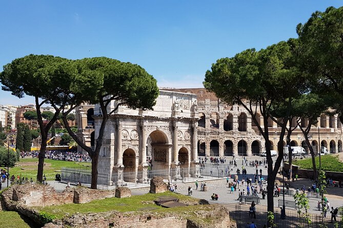 Skip The Line: Colosseum, Roman Forum, Palatine Hill Guided Tour - Specific Reviews