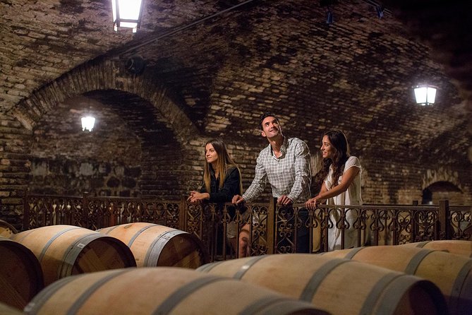 Skip the Line: Concha Y Toro Traditional Tour Ticket - Good To Know