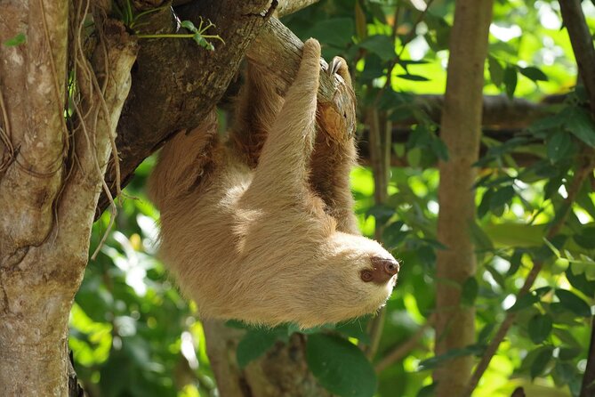 Skip the Line: Diamante Eco Adventure Park: Animal Sanctuary Discovery Ticket - Diamante Eco Adventure Park: An Animal Lovers Paradise