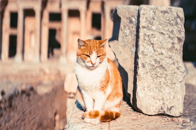 Skip the Line: Ephesus TOUR For Cruise Guests - Small Group - How to Book Your Ephesus Tour