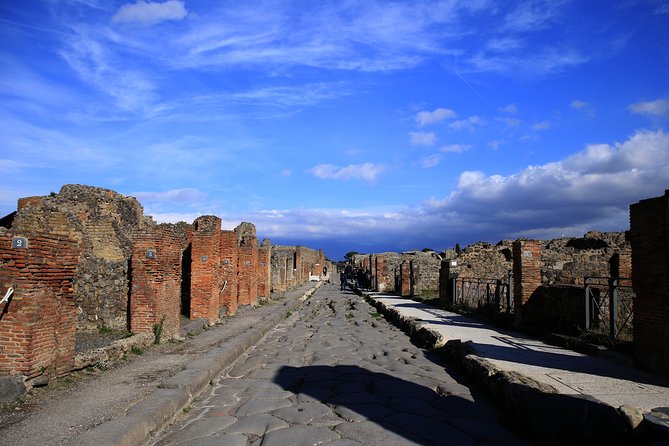 Skip-the-line Exclusive Private Full-Day Complete Ancient Pompeii Guided Tour - Reviews