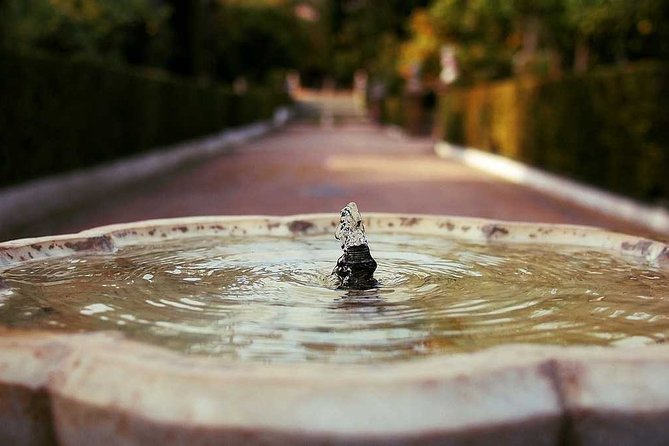 “Skip the Line” Exclusive Tour of Alcazar in Seville - Tour Inclusions