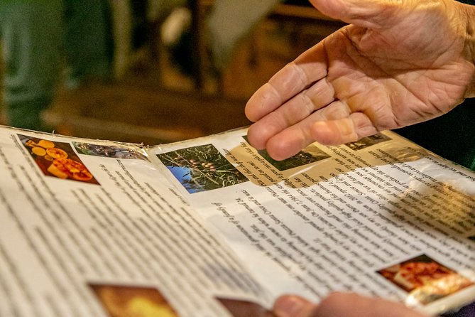 Skip-The-Line Family Friendly Uffizi Gallery Private Tour With Local Guide - Accessibility and Cancellation Policies