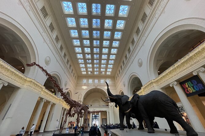 Skip-the-Line Field Museum Natural History Semi-Private Guided Tour (8ppl Max) - Tour Overview
