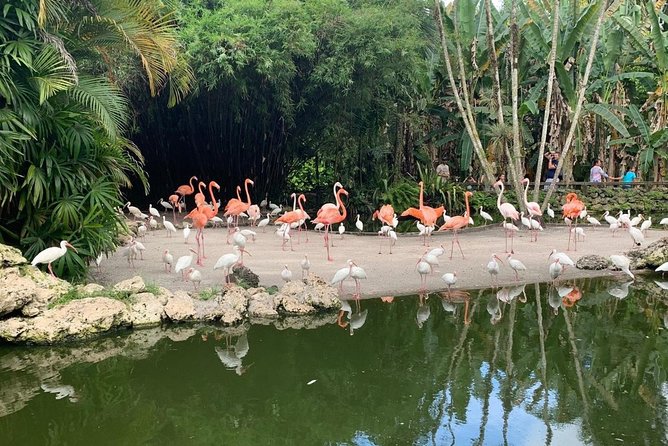 Skip the Line: Flamingo Gardens Admission Ticket in Fort Lauderdale - Overview and Features of Flamingo Gardens