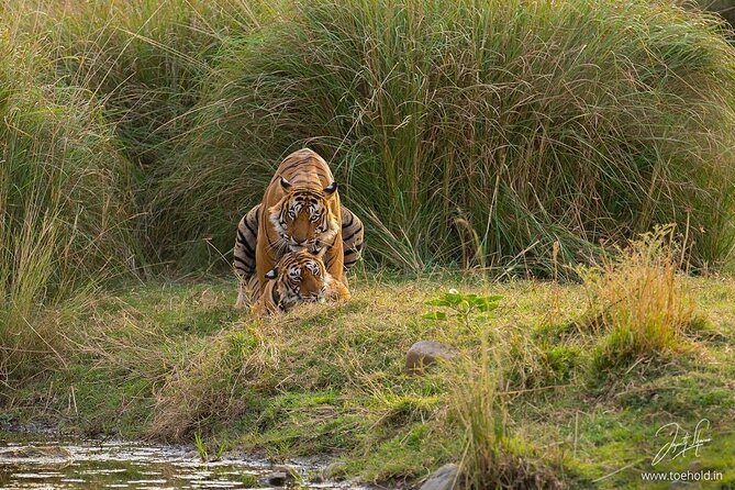 Skip the Line: Gypsy Safari Booking Ticket ( Foreign National ) - Cancellation Policy and Refunds
