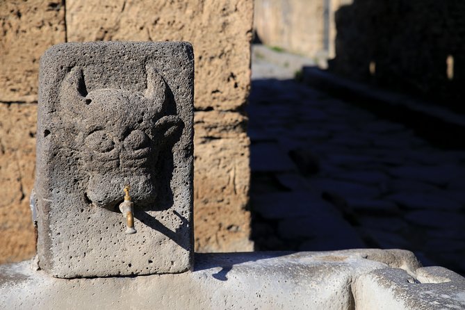 Skip-The-Line Half-Day Private Tour Ancient Pompeii Highlights With Native Guide - Memorable Experience of the Tour