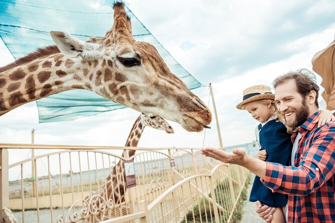 Skip-The-Line Hellabrunn Zoo in Munich With Transfers - Experience Details