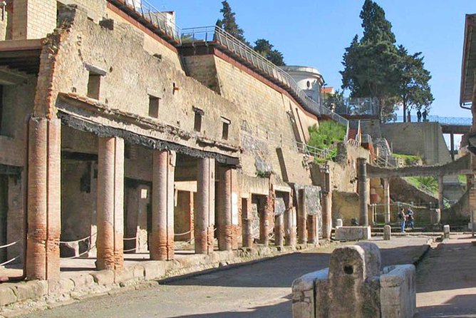 Skip the Line: Herculaneum Ruins Ticket Optional Guided Tour - Pricing and Value