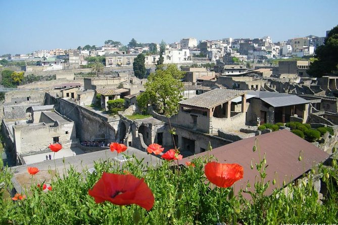 Skip the Line: Herculaneum Ruins Ticket Optional Guided Tour - Cancellation Policy