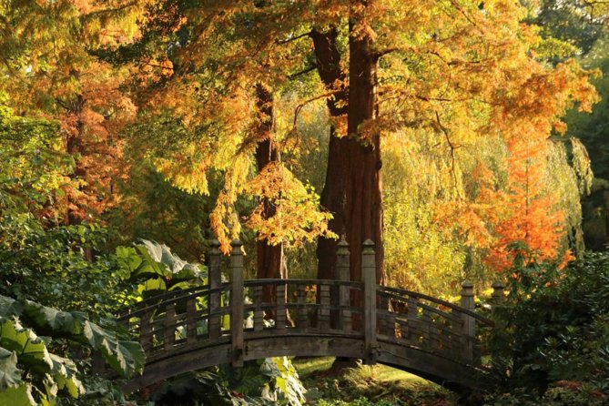 Skip the Line: House and Garden Admission Ticket - Winterbourne House and Botanic Garden