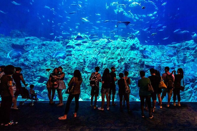 Skip the Line Hurghada Grand Aquarium Transfer & Entrance - Good To Know