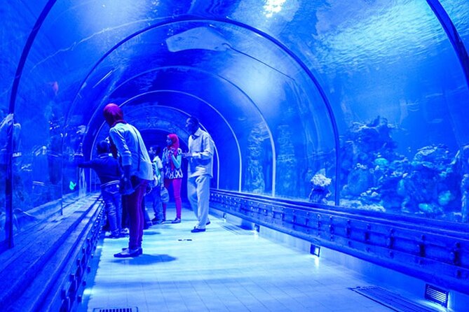 Skip the Line Hurghada Grand Aquarium Transfer & Entrance - Pickup Details