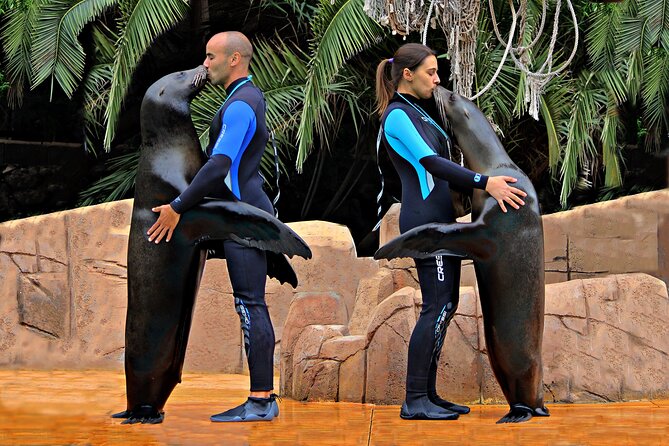 Skip the Line: Jungle Park Tenerife Entrance Ticket - The Sum Up