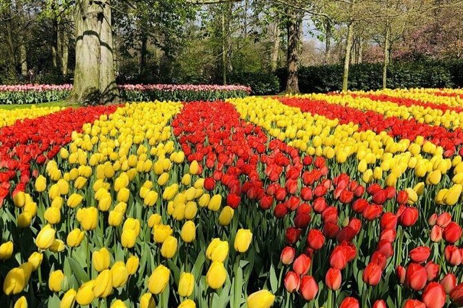 Skip-The-Line Keukenhof Gardens and Tulip Fields Tour From Amsterdam - Terms and Conditions