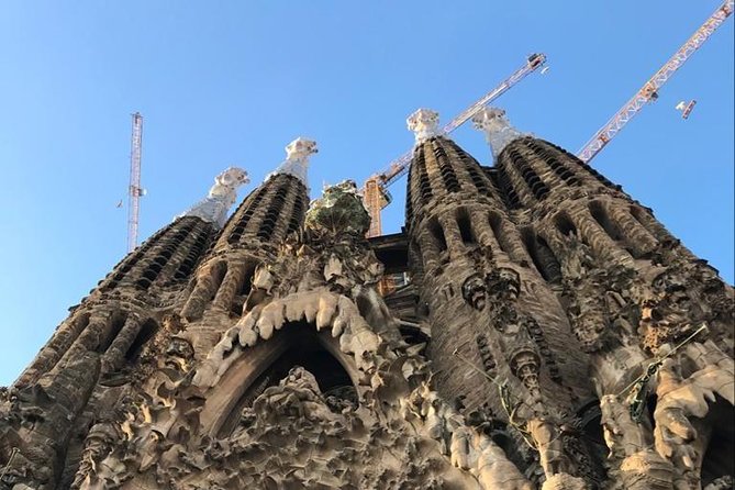 Skip The Line : La Sagrada Familia Guided Tour - Reviews and Ratings