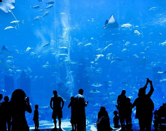 Skip the Line: Lost Chambers Entry at Atlantis The Palm Ticket - Good To Know