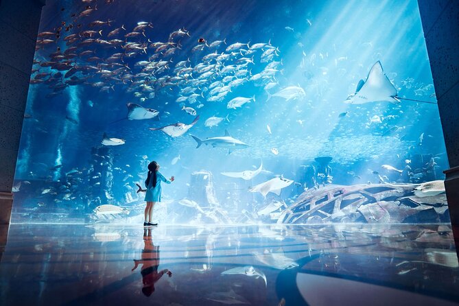 Skip the Line: Lost Chambers Entry at Atlantis The Palm Ticket - Whats Included