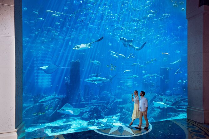 Skip the Line: Lost Chambers Entry at Atlantis The Palm Ticket - Visitor Experiences and Reviews