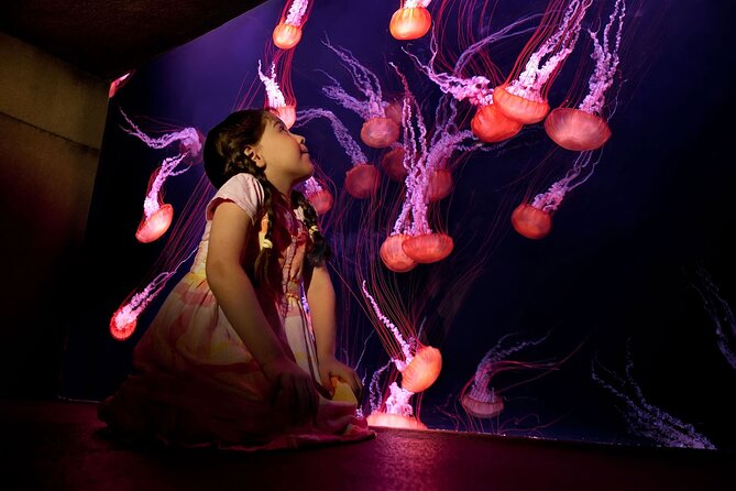 Skip the Line: Lost Chambers Entry at Atlantis The Palm Ticket - Visitor Feedback and Comparison