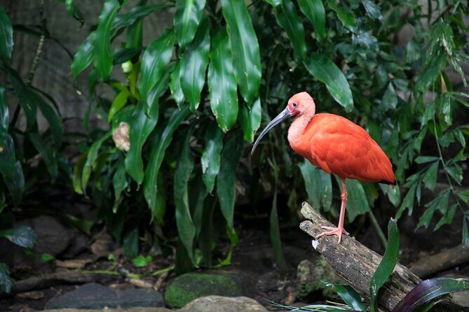 Skip-the-line Montreal Biodome Private Tour with Tickets - What to Expect on Your Montreal Biodome Private Tour