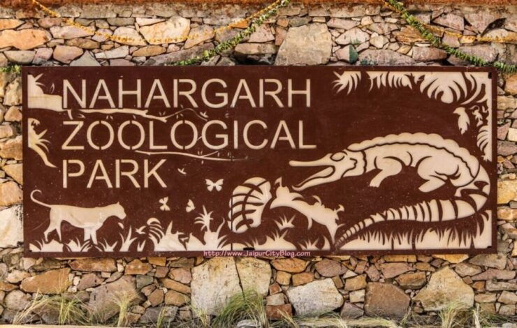 Skip The Line : Nahargarh Biological Park Tour, Jaipur - Activity Details