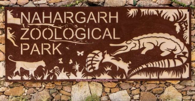 Skip The Line : Nahargarh Biological Park Tour, Jaipur - Bird Watching