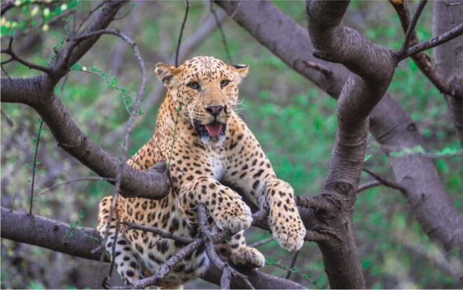 Skip The Line : Nahargarh Biological Park Tour, Jaipur - Visitor Facilities