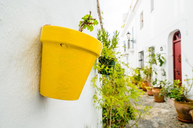 Skip the Line Nerja & Frijiliana Day Trip From Granada in a Small Group - Traveler Photos and Reviews