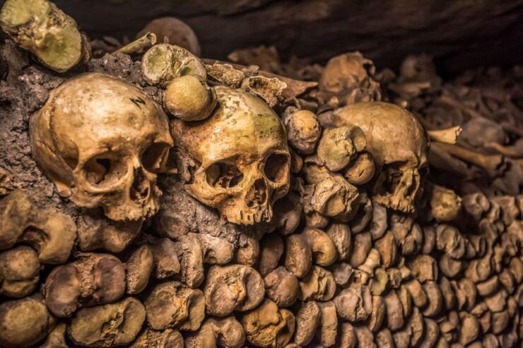 Skip-The-Line: Paris Catacombs Guided Tour With VIP Access - Tour Details and Benefits