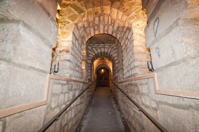 Skip-The-Line: Paris Catacombs Guided Tour With VIP Access - VIP Access and Skip-The-Line Benefits