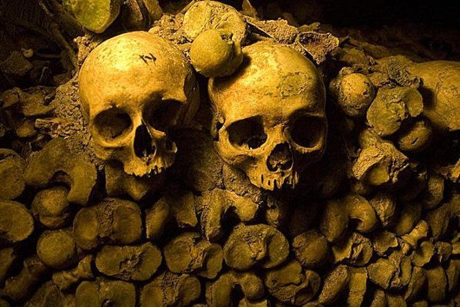 Skip-The-Line: Paris Catacombs Tour With VIP Access to Restricted Areas - Additional Information