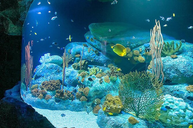 Skip the Line: Pattaya Underwater World - Additional Information