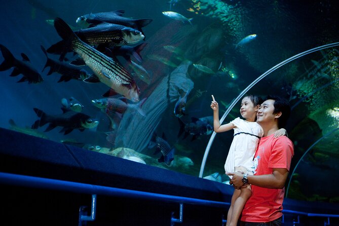 Skip the Line: Pattaya Underwater World - Cancellation Policy