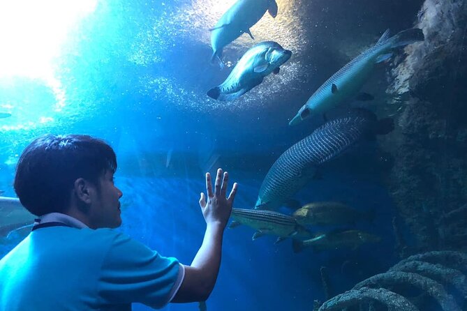 Skip the Line: Pattaya Underwater World - Common Questions