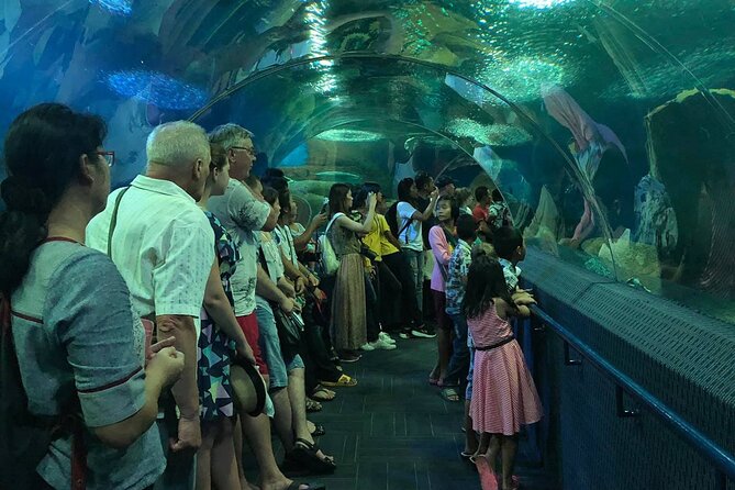 Skip the Line: Pattaya Underwater World - The Sum Up
