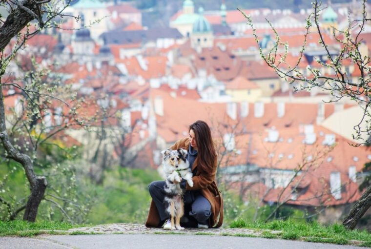 Skip-the-line Petrin Tower Prague Private Tour with Tickets - Why This Tour Offers Excellent Value