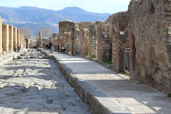 Skip-The-Line Pompeii Ruins Tour for Kids and Families With Specialized Guide - Booking Process