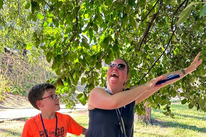Skip the Line Pompeii Tour For Kids and Families - The Sum Up
