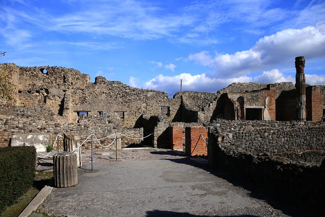 Skip the Line Pompeii Tour for Kids and Families W Archaeologist - Tour Details