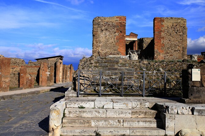 Skip the Line Pompeii Tour for Kids and Families W Archaeologist - Cancellation Policy