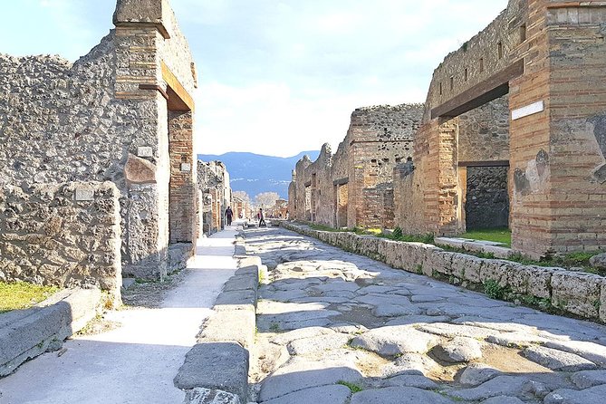 Skip-The-Line Pompeii & Volcano Vesuvius Day Tour W Hotel or Port Pickup - Expert-led Vesuvius Crater Tour