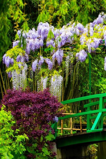 Skip the Line - Private Morning Visit Claude Monet'S Garden - Benefits of a Private Tour