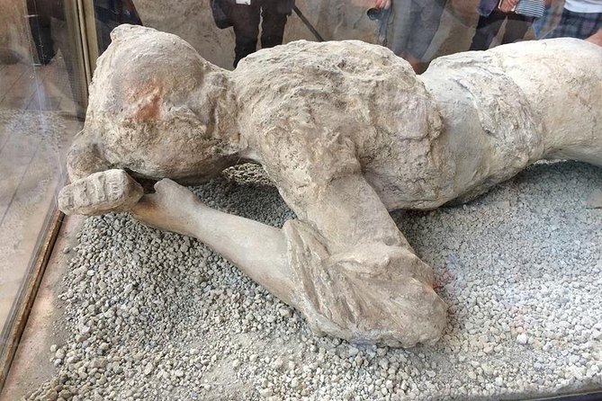 Skip the Line Private Pompeii Guided Tour - Inclusions of the Tour