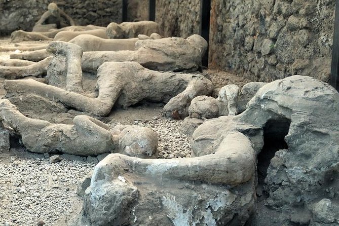 Skip the Line Private Pompeii Guided Tour - Cancellation Policy